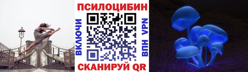 где купить наркоту  Фрязино  Псилоцибиновые грибы Magic Shrooms 