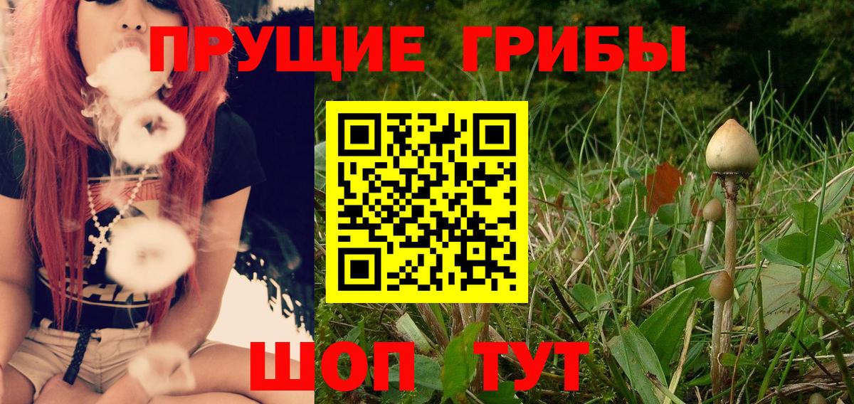 Псилоцибиновые грибы ЛСД  Вход с VPN  Галлюциногенные грибы Cubensis  Фрязино 