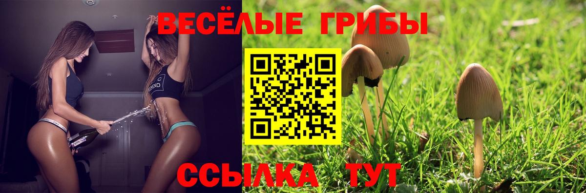 Псилоцибиновые грибы прущие грибы Фрязино