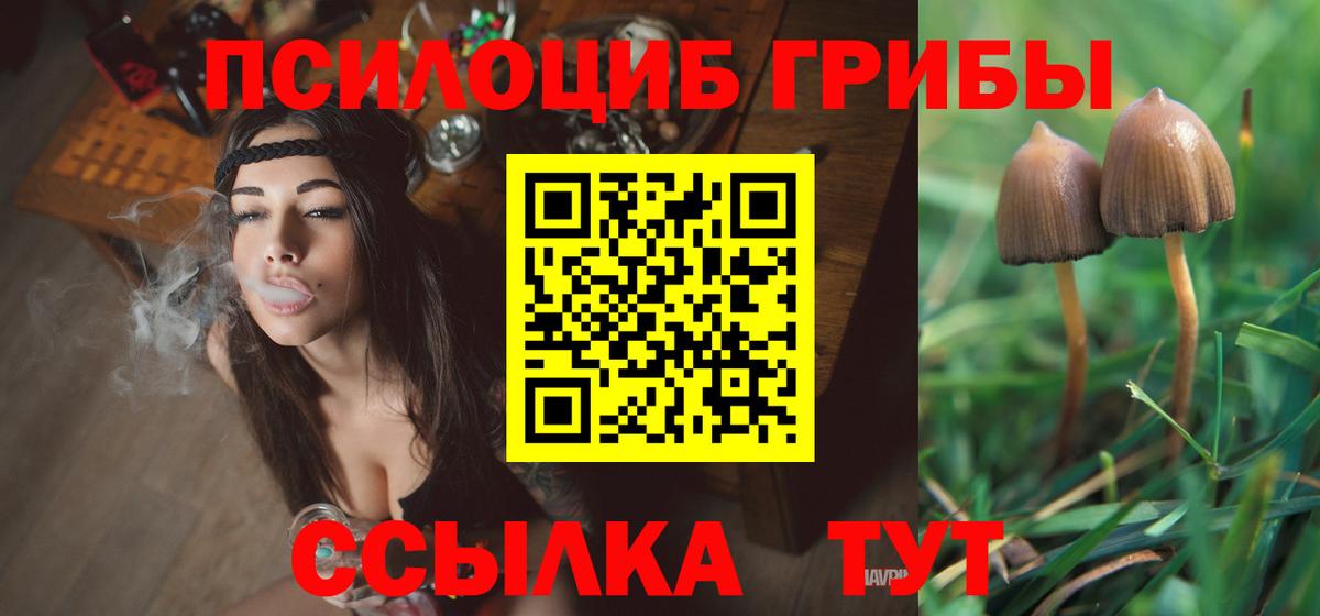 купить закладку  Фрязино  Галлюциногенные грибы Psilocybine cubensis  Псилоцибиновые грибы Psilocybine cubensis 