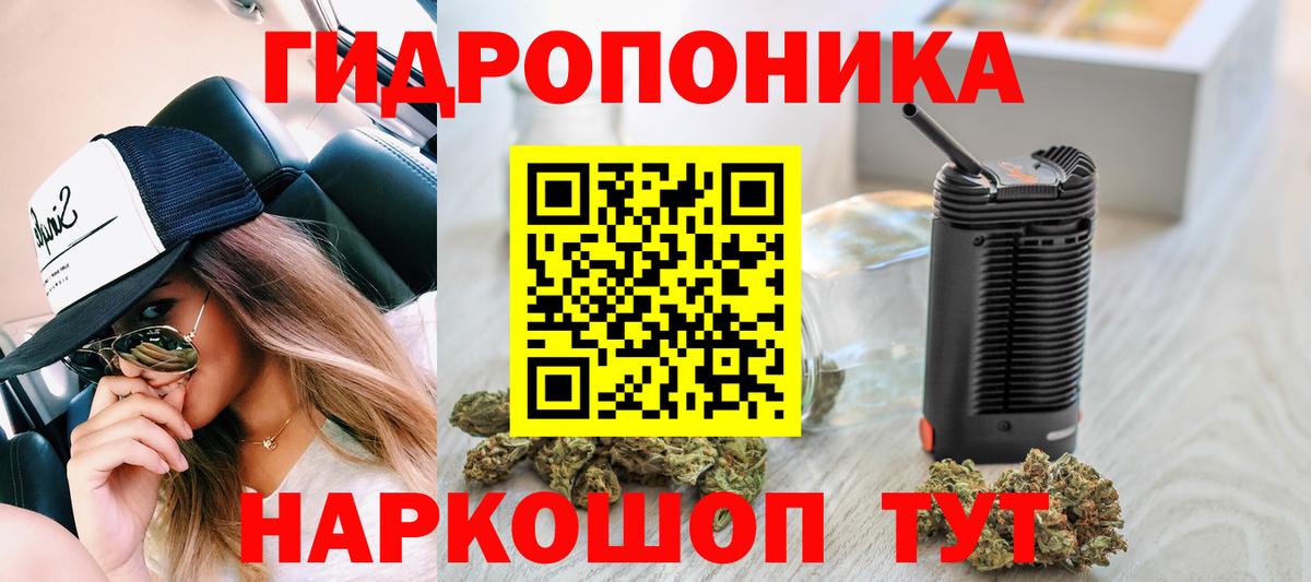 Шишки марихуана план  Конопля LSD WEED  Вход с VPN  Бошки марихуана гибрид  Фрязино  Шишки марихуана планчик 